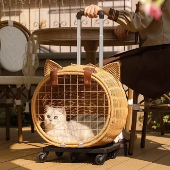 Aranyos Kerekek Macskák Hátizsák Női Egyedülálló Szabadtéri Aranyos Utazási Kutya Táskában Hordozható Rajzfilm Lány Mochila Para Gato Kisállat Kiegészítők